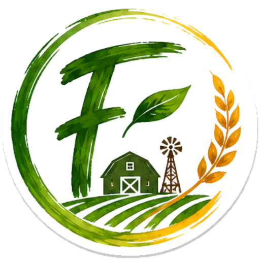 FreshWearStudio